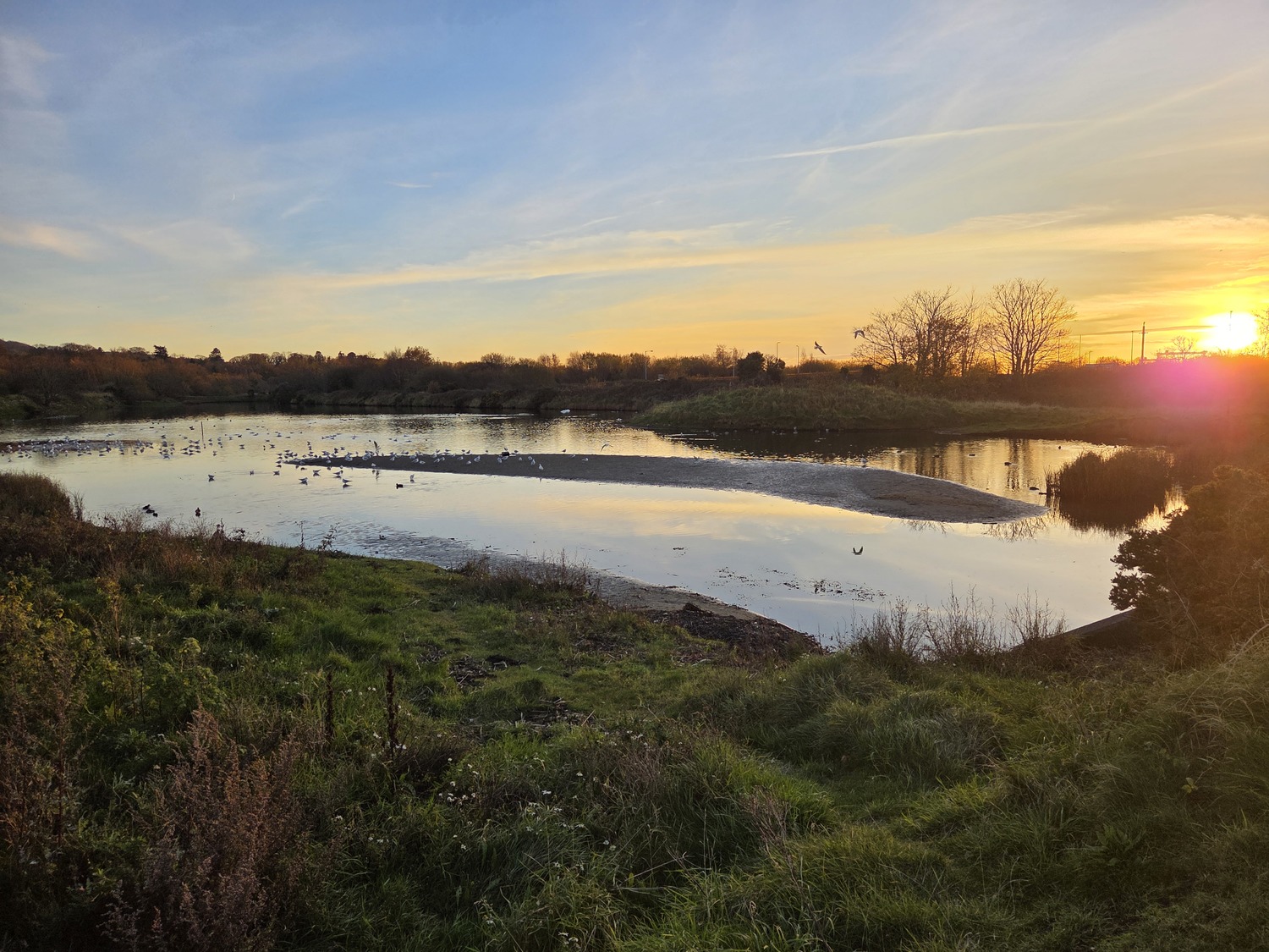 Untreated wastewater is one of the biggest threats to Belfast Lough and other waterways. Photo by Tommy Greene Untreated wastewater is one of the biggest threats to Belfast Lough and other waterways. Photo by Tommy Greene