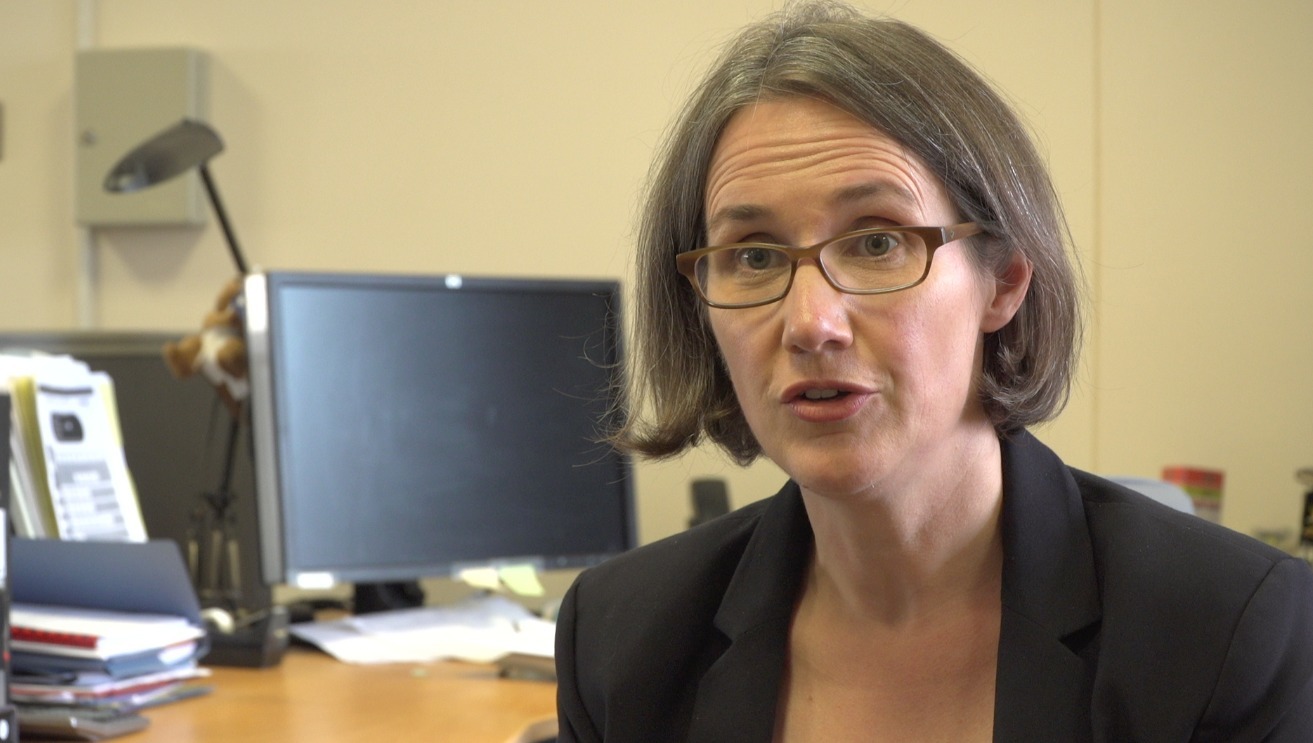 Head of the Northern Ireland Electoral Commission, Ann Watt